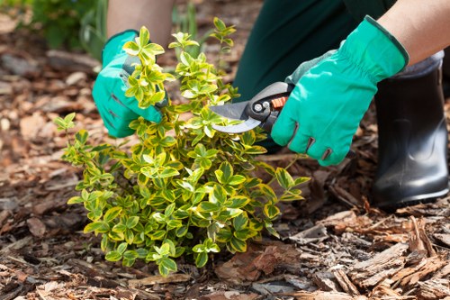 Gardener working in a terraced Hammersmith garden