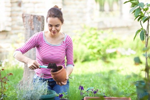 Maintenance gardener pruning hedges in a family garden