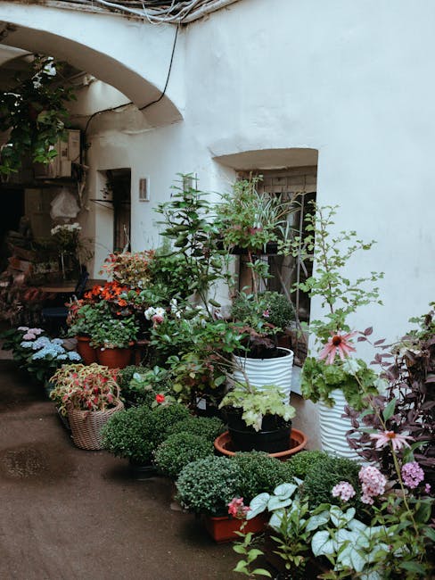 A cozy small courtyard garden adjacent to a white stucco building featuring a variety of potted plants and flowers arranged along the wall and on the ground. The plants include lush green foliage, flo