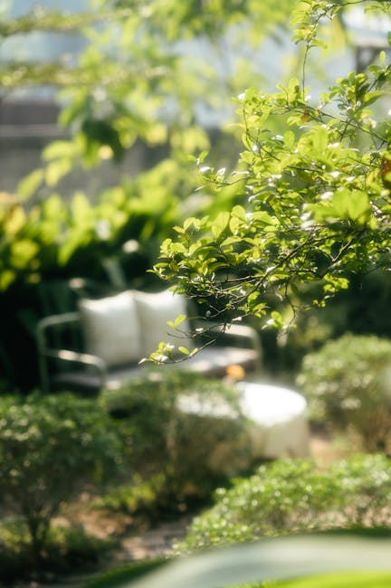 A cozy small courtyard garden adjacent to a white stucco building featuring a variety of potted plants and flowers arranged along the wall and on the ground. The plants include lush green foliage, flo